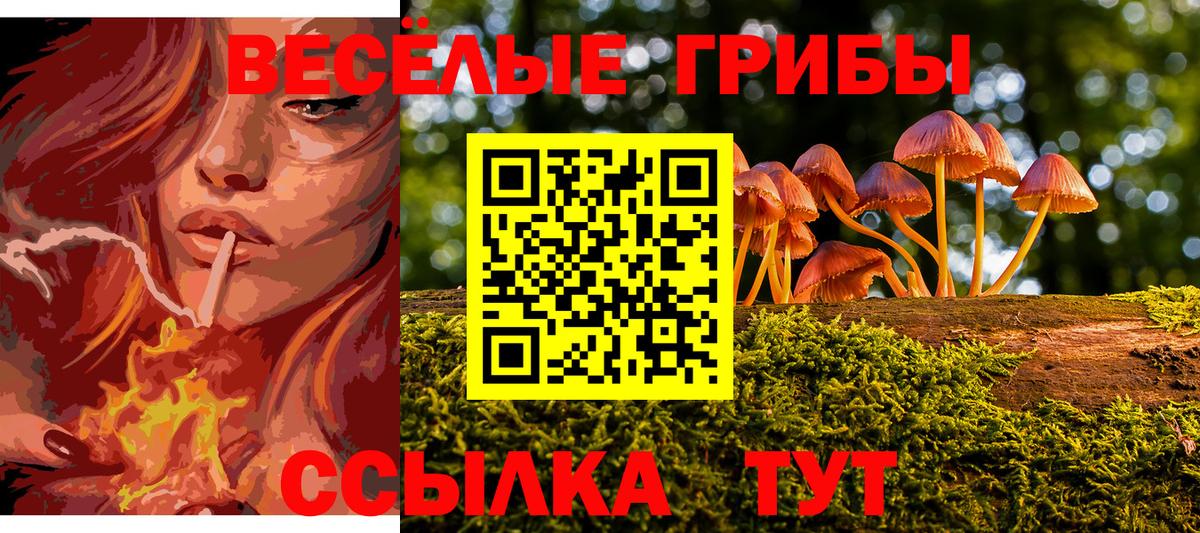 Зима  Псилоцибиновые грибы Cubensis  как найти   Вход с VPN  Галлюциногенные грибы GOLDEN TEACHER 